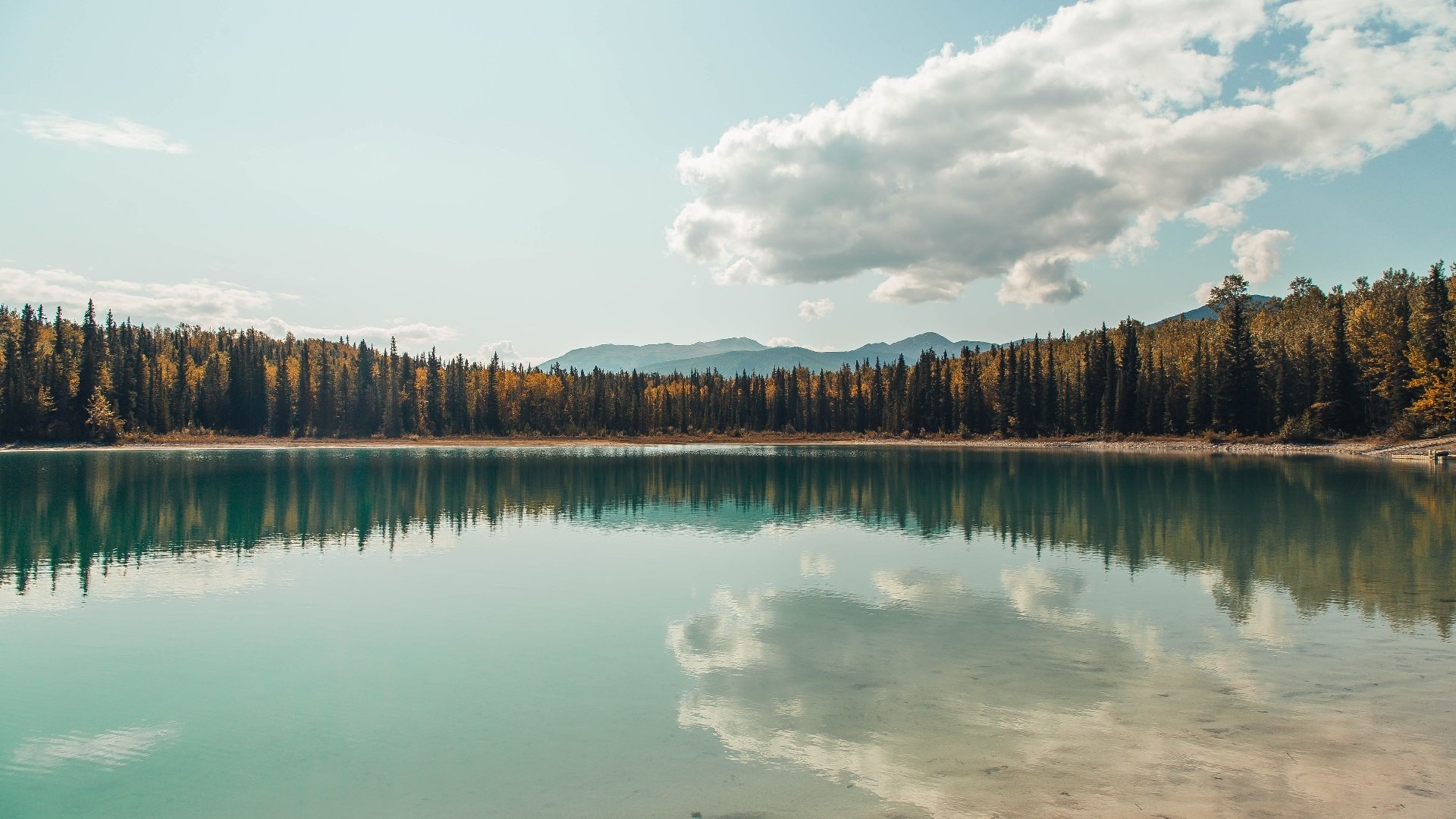 欧文一剑封喉！太阳险胜奇才背后，那个被质疑的男人终于露出獠牙