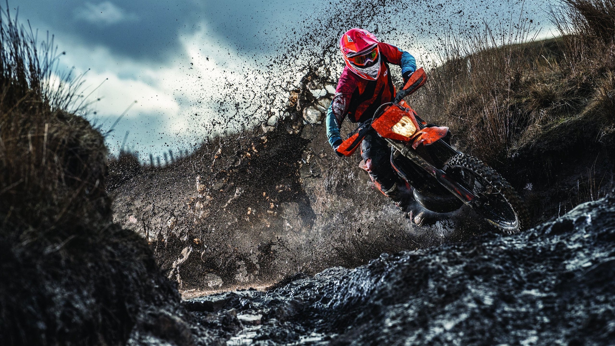 霍勒迪死了1203次?绝杀火箭背后藏着当代运动员终极解法